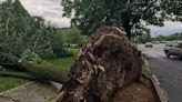 Strong storm topples trees in the Lehigh Valley