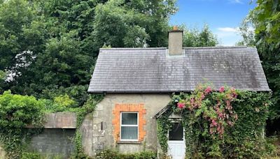 €150,000 Wicklow cottage on one acre attracting ‘very strong interest’