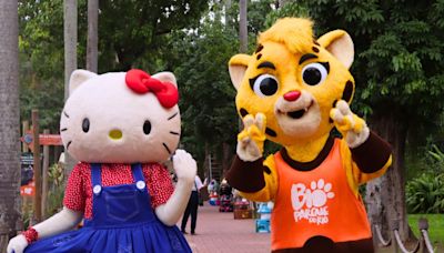 BioParque do Rio recebe exposição da Hello Kitty: 'Experiência promete ser enriquecedora' | Diversão | O Dia