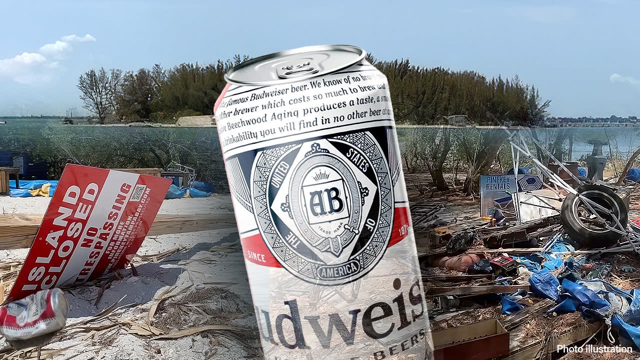 'Beer Can Island' plundered by party pirates, owners vow to rebuild before sale