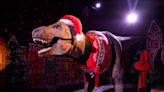 Jurassic jumper: Natural History Museum T-Rex gets its own festive knitwear