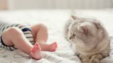 Rescue Cat ‘Adopts’ Human Baby as Her Own and It’s So Beautiful