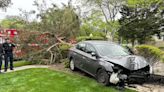 Minor Injuries in Cape May Car Crash with Tree
