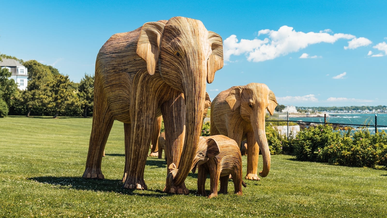 Traveling installation of 100 life-sized elephants will offer perspective on how much space the giants need, experts say