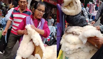 Peruana muestra sitio de venta de pellejo de carnero para el frío en Lima y DATAZO es viral