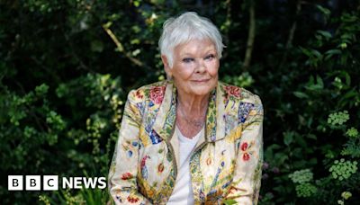 Dame Judi Dench and John Cena to voice Meta AI chatbot