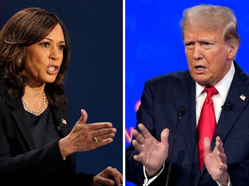 Donald Trump vs. Kamala Harris: cómo miden en las encuestas y la predicción del “Nostradamus” de las elecciones en EE.UU.