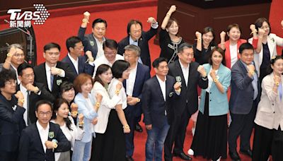 藍綠覆議戰！綠委戴黃蓮花手環 象徵「無所畏懼」