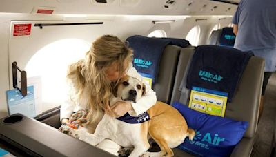 Aerolínea exclusiva para mascotas y sus dueños lanzará vuelos en mayo