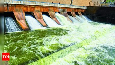 Water released for irrigation in Madurai, Dindigul, Theni | - Times of India