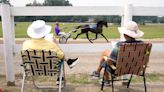 The 2023 Franklin County Fair is underway. Here's what to know if you go