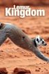 Lemur Kingdom