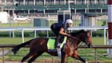 New Bit, Jockey for Sierra Leone in Lead-Up to Belmont