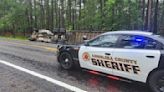 Fallen tree causes truck to roll over on State Highway 63 near Zavalla