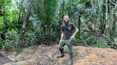 Leafcutter ant colonies operate like super-organisms | ECOVIEWS