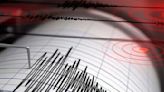 Reportan sismo de 5.3 grados con epicentro en las costas del Pacífico