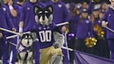 Washington football’s spring game FREE LIVE STREAM (5/3/24): Watch college football online | Time, TV, channel