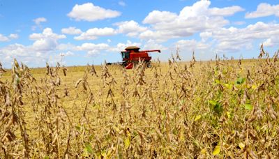 Brasil gasta mais do que concorrentes para produzir soja