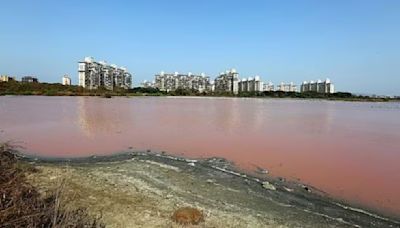 Mumbai: After Tulsi, Tansa lake overflows; lake levels near 60 per cent