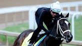 In photos: Stables prepare for the Kentucky Derby at Churchill Downs - All Photos - UPI.com