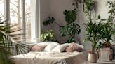 25 Tall Indoor Plants To Complete Your Home or Office