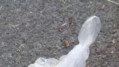 Shocking moment dog walker dumps a bag of poo outside a woman's house