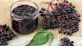 How To Cook Elderberries So They're Safe To Eat