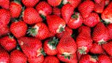 Can You Freeze-Dry Strawberries Without A Machine?