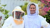 Harvesting honey to give menu items a 'buzz'