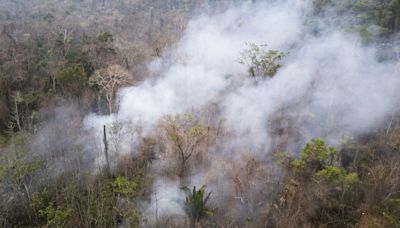 Los incendios avanzan en una veintena de municipios de São Paulo en medio de la sequía