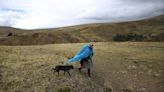 El cambio climático obliga a cambiar el calendario agrícola de comunidades andinas de Perú