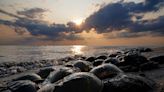 ‘Outrageous’: Maryland agency sued over horseshoe crabs