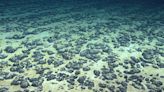 Deep-Sea Nodules Producing ‘Dark Oxygen,’ Study Finds