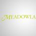 Meadowlands – Stadt der Angst