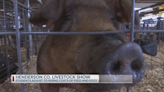 East Texas FFA students compete in Henderson County Livestock Show