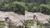 Family of 7 Swept Away In Torrential Lonavala Waterfall; Viral Video Captures Horrific Scene