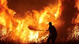 OPINION - As Europe burns, why is nobody nailing the climate deniers for being so wrong?