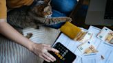 32 ways to save money as a cat owner