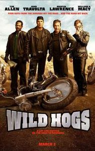 Wild Hogs