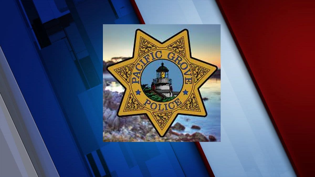 Police looking for a man who is accused of stalking an elementary school student in Pacific Grove – KION546