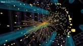 W boson width measured for the first time at the Large Hadron Collider