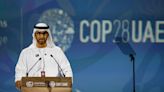 Salir de los combustibles fósiles, la polémica discusión climática a la que el presidente de la COP 28 se opone