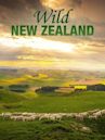 Wild New Zealand