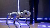 Meet Blue, the AI robot dog who's getting HBCU students excited about tech in Nashville