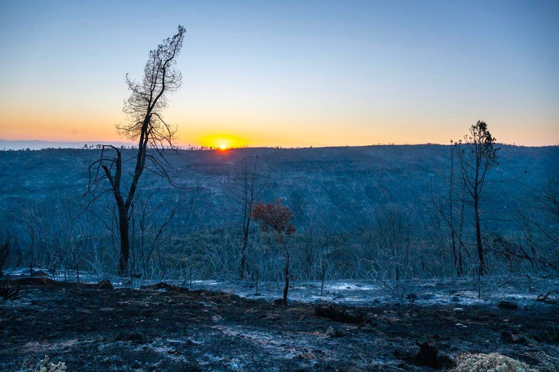 Chico planned a burn that could have curbed the Park Fire. Here’s why it didn’t get done