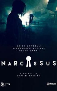 Narcissus