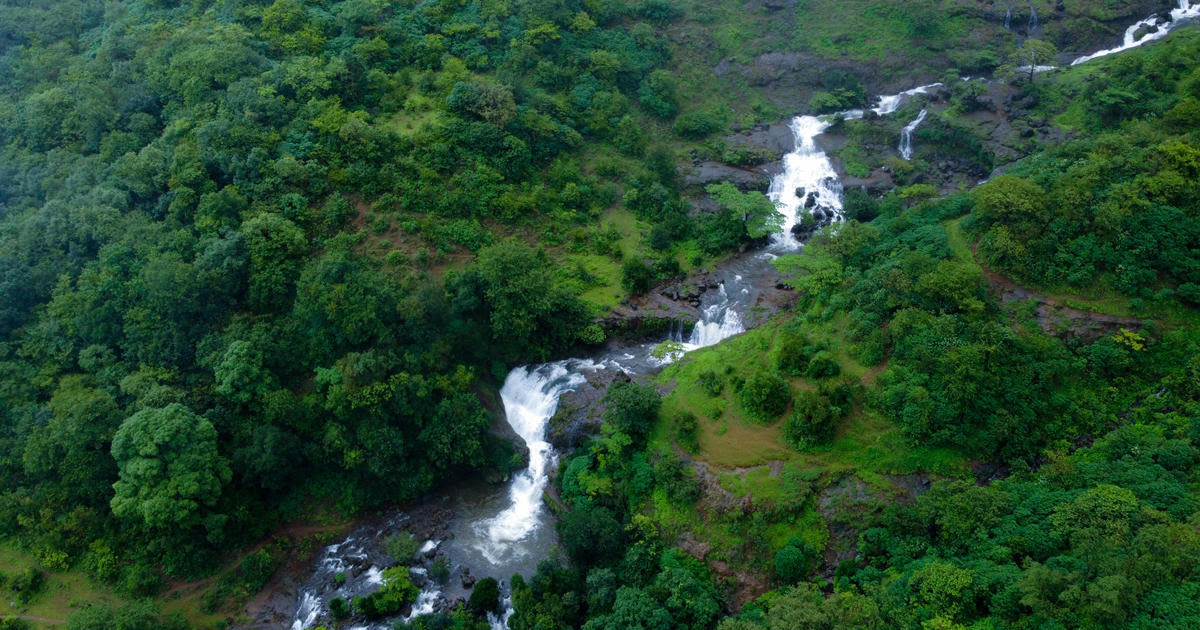 Woman found chained to tree in jungle says husband left her to die