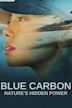 Blue Carbon: Nature's Hidden Power