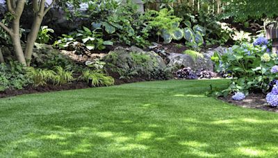 6 Tips for Keeping Your Lawn Green in the Summer Heat