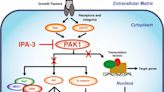 Keeping cancer in its place: overcoming metastasis